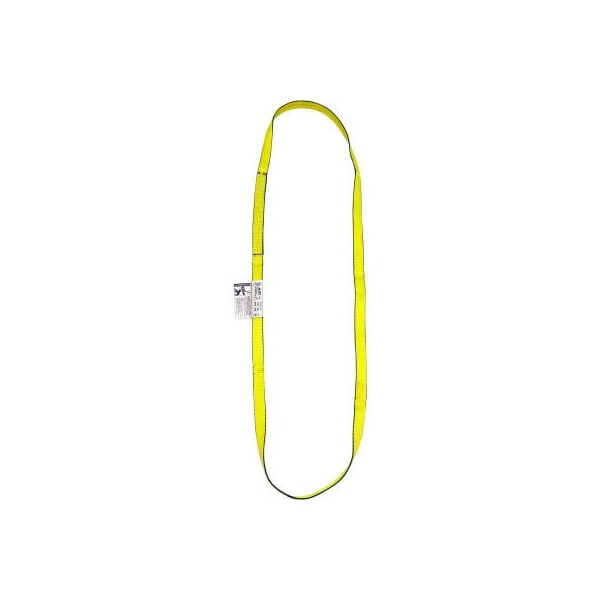 Lift America 10' Poly Web Sling Endless, 2500/3200/6400 Lbs Cap